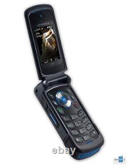 LOT DE 2 Talkies-Walkies Motorola Nextel i576 avec Talkie Direct et Confidentialité Améliorée