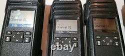 Lot de 6 radios bidirectionnelles numériques Motorola DTR700 DTR 700 et chargeurs