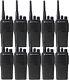 Pack De 10 Radios Bidirectionnelles Uhf Motorola Cp200d Aah01qdc9jc2an Neuves